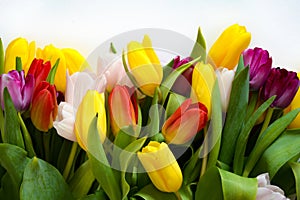 A bouquet of colorful tulips. beautiful spring flowers. background for decoration for the Easter holiday.