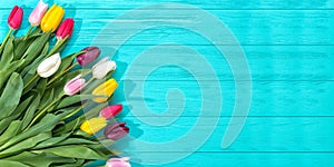 Spring background!A bouquet colorful tulips on blue wooden background.Holiday greeting card for Valentine`s Day, Woman`s Day, Moth