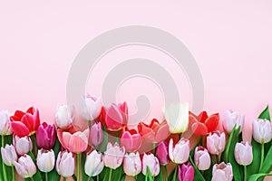 Bouquet of colorful tulips on light pink background. Greeting card. Copy space
