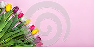 Spring background!A bouquet colorful tulips on pink background.Holiday greeting card for Valentine`s Day, Woman`s Day, Mother`s Da