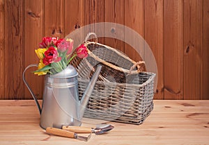 Bouquet of colorful tulips in watering can, empty wicker baskets and garden tools on wooden table