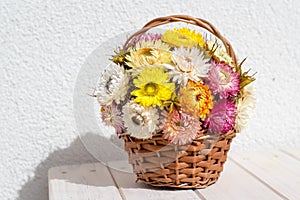 Bouquet of colourful  strawflowers in a wickery basket - autum decoration of golden everlasting on the table