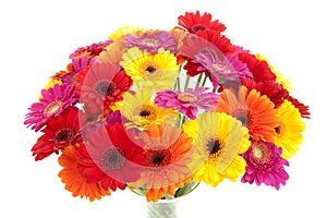 Bouquet of colroful Gerbera flower