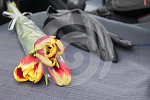 The bouquet consists of three red-yellow tulips. Flowers are on the seat in the car`s interior.