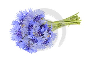 Bouquet of Cornflowers Isolated on White Background