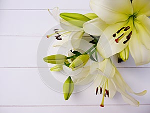 Bouquet of cream white colored Lily flowers and flower bulbs