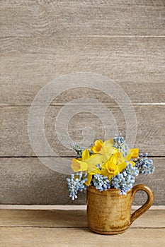 Bouquet of daffodils and blue muscari (Grape hyacinth)