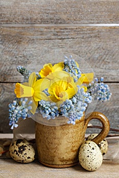 Bouquet of daffodils and blue muscari (Grape hyacinth)