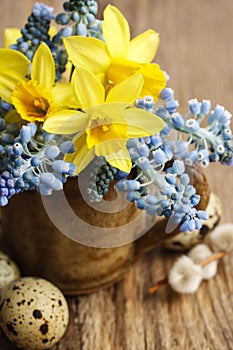 Bouquet of daffodils and blue muscari (Grape hyacinth)