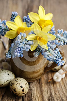 Bouquet of daffodils and blue muscari (Grape hyacinth)