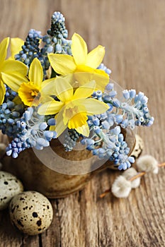 Bouquet of daffodils and blue muscari Grape hyacinth