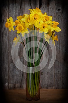 Bouquet of daffodils in a vase