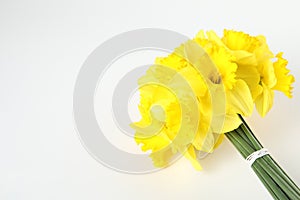 Bouquet of daffodils on white background, top view.