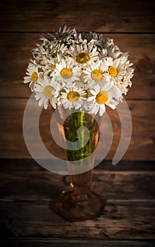 Bouquet of daisies on dark background, white chamomiles