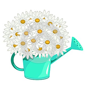 Bouquet of daisies in green garden watering can