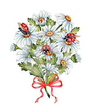 Bouquet of daisies with ladybugs watercolor