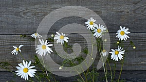 A bouquet of daisies near the wooden wall.