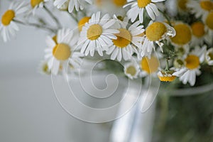 Bouquet of daisies in a vase.