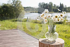 Bouquet of daisies in a vase against the backdrop of a lake in the sun