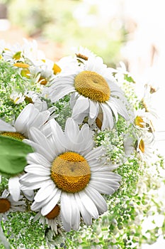 A bouquet of daisies in a vase on the windowsill close-up. Spring white and yellow chamomile flowers on the window on a sunny day.