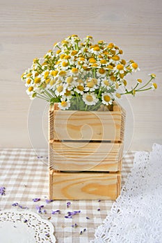 Bouquet of daisies on a vintage wooden surface