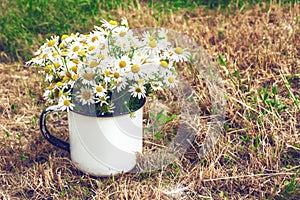 Bouquet of daisies on the yellow grass. Vintage composition.