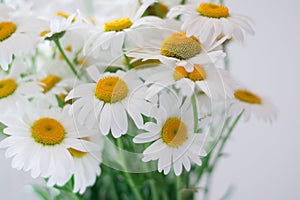 Bouquet of daisy-chamomile flowers