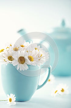 Bouquet of daisy flowers