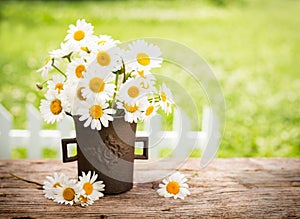 Bouquet of daisy flowers