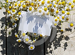 A bouquet of daisy flowers and an blank card with empty space for text Spring or summer holidays. Copy space