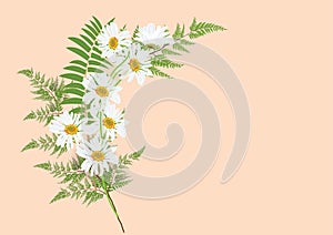 Bouquet of daisy flowers with fern leaves drawing