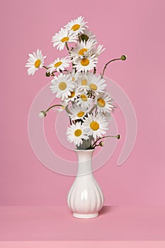 Bouquet of daisy flowrs on a pink background