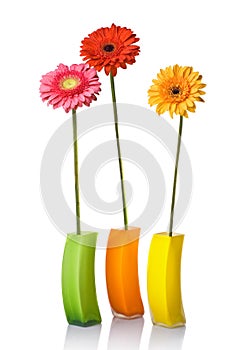 Bouquet from daisy-gerbera in glass vase