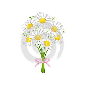 Bouquet of daisy isolated. Vector spring chamomile flowers.