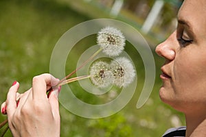 Bouquet of dandelions