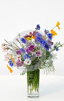 Bouquet of dark blue cornflowers