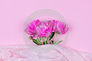 Bouquet of dark pink peony flowers close-up and pink fabric on pink background with copy space.