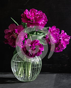 bouquet of dark red lilac tulips in glass vase on dark background. flower bouquet in vase on table