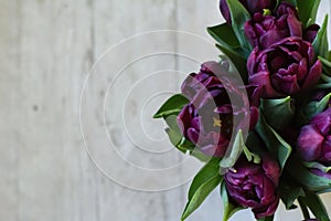 Bouquet of dark violet tulips on the wooden background. Dark tulips on the light wood