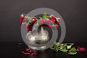 Bouquet of dead red roses, silver vase, black background