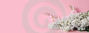 Bouquet of delicate artificial white lilac on pink background