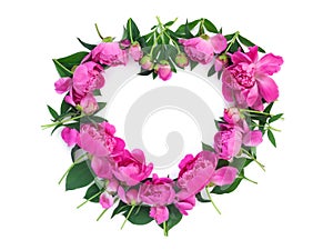 Bouquet of delicate beautiful pink peonies in  form of  heart  on white isolated background. Creative floral wreath