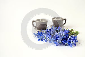 A bouquet of delicate blue spring flowers on the background of two gray coffee cups, white background, space for text