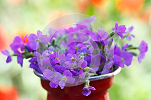 Bouquet of delicate violet flowers