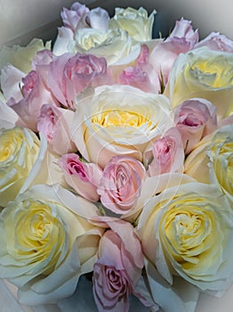A bouquet of delicate white and pink roses. Suitable for background for wedding composition