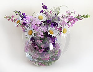 Bouquet of delphinium, chamomile and daylily.