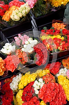 Bouquet detail - Flower arrangement