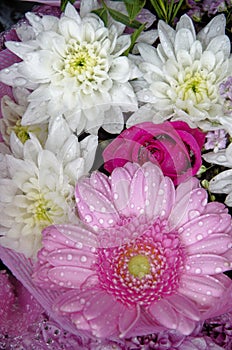 Bouquet detail - Flower arrangement