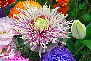 Bouquet of different flowers in various colors