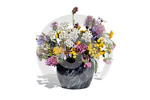 A bouquet of different wildflowers stands in a vase on a white background.